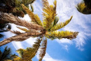 Read more about the article Miami z Warszawy za 1497 złote!