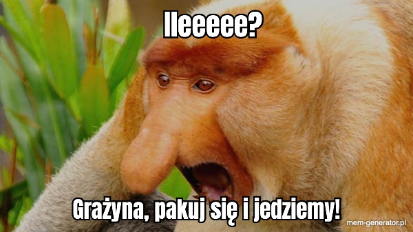 You are currently viewing Zobacz Januszy w ich naturalnym środowisku! Tanie loty na Borneo!
